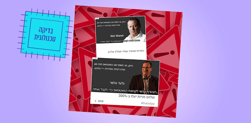 דוגמאות להונאות פיננסים ברשתות / צילום: צילומי מסך