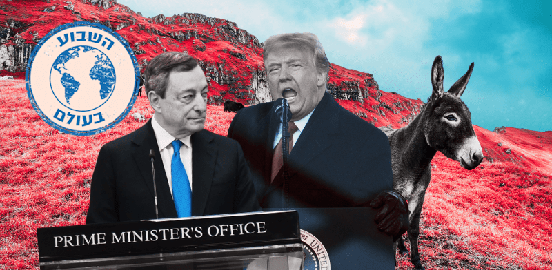 צילום: shutterstock, יוואב דודקביץ, פול ידיעות אחרונות, AP - Evan Vucci