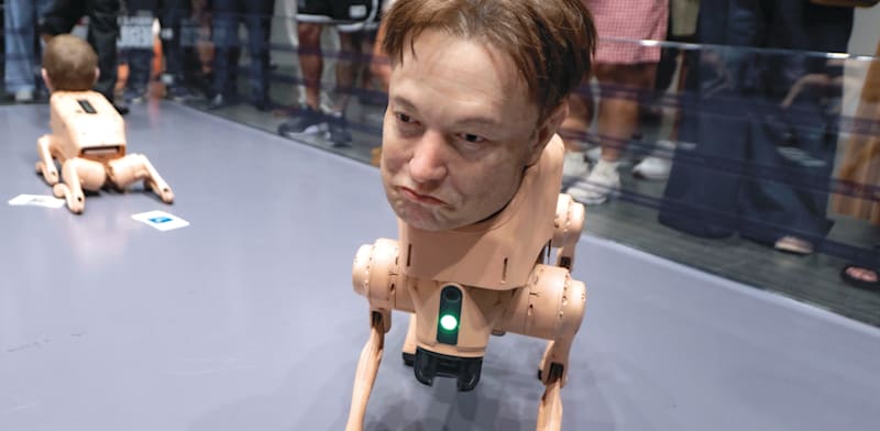 כלב-רובוט בדמות אילון מאסק / צילום: Reuters, ZUMA Press Wire