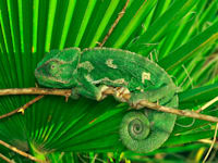 ארגונים חייבים להתאים את עצמם לעולם שמשתנה ללא הרף / צילום: Shutterstock