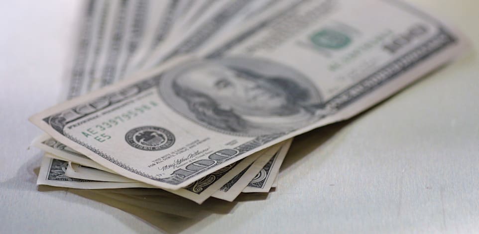 דולרים / צילום: עינת לברון