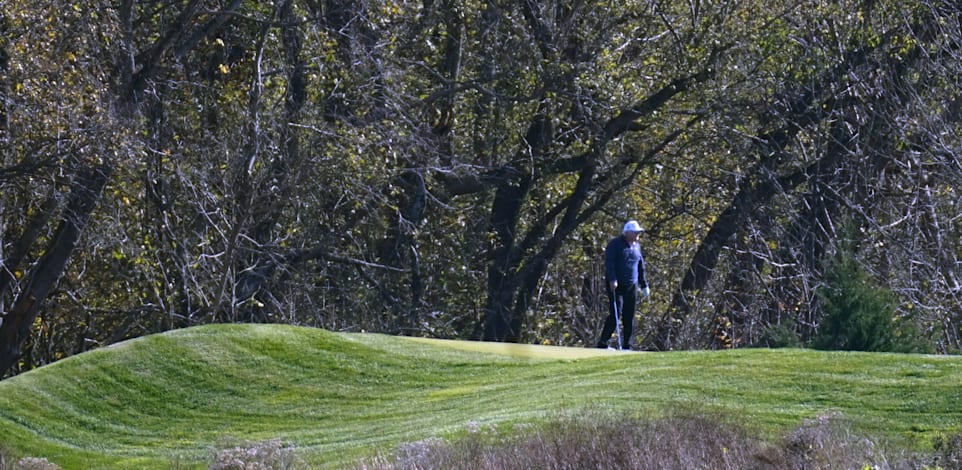 טראמפ משחק גולף בוושינגטון בזמן ההכרזה על ביידן כנשיא־מועמד. המציאות מחלחלת לאט / צילום: Associated Press, Patrick Semansky