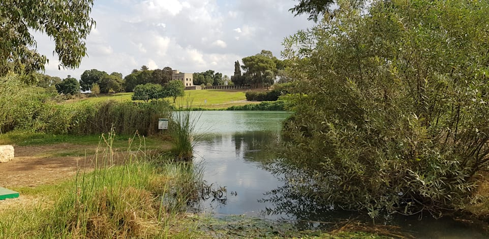 פארק הירקון. שטחי טבע, מים וצמחייה, נמפיאה בבריכה, בעלי חיים והרבה פינות נחמדות לפיקניק / צילום: אורלי גנוסר