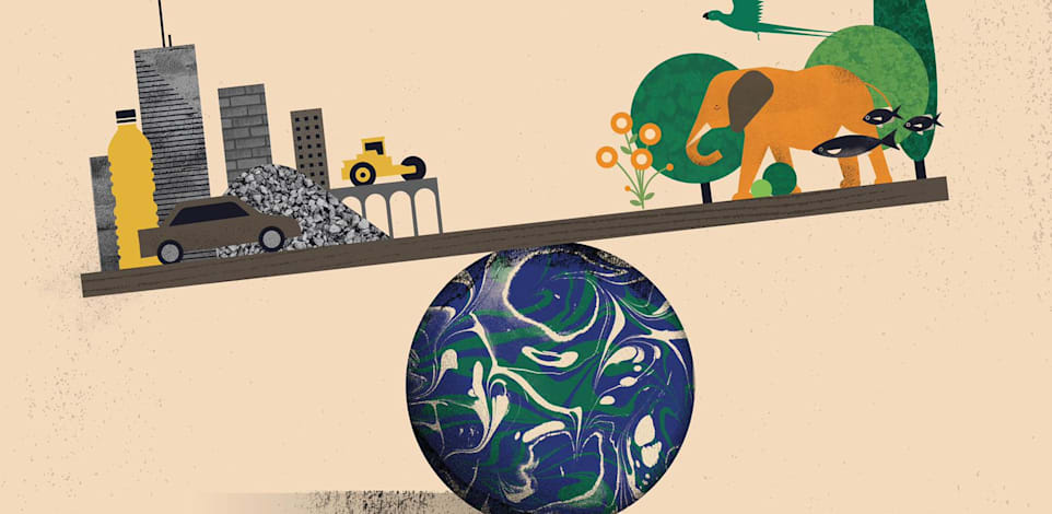 המסה של מבנים ותשתיות עקפה את המסה של העצים והשיחים / איור: איתי רווה