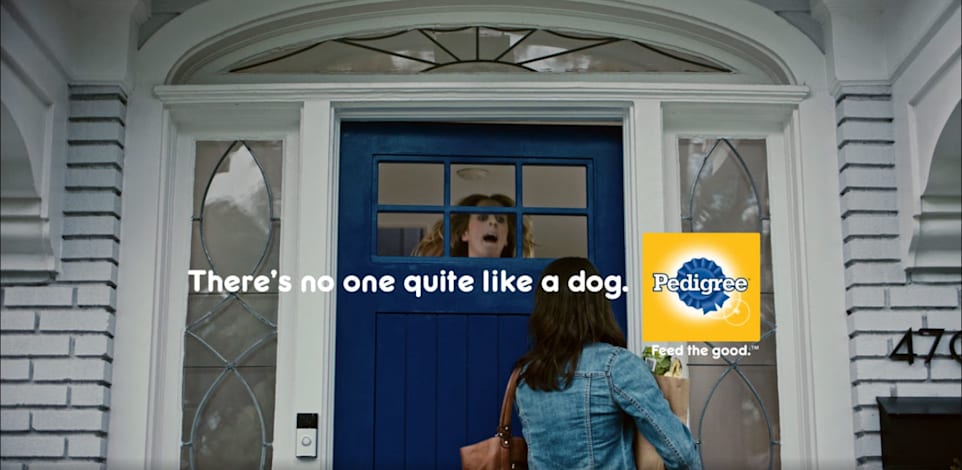קמפיין פדיגרי. אין תחליף לאהבה של כלב / צילום: צילום מסך