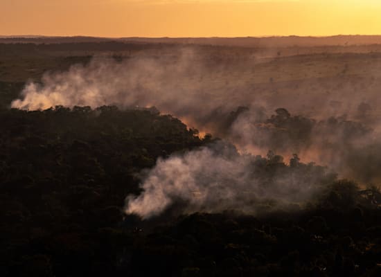 השריפות ביערות הגשם / צילום: Christian Braga, Greenpeace