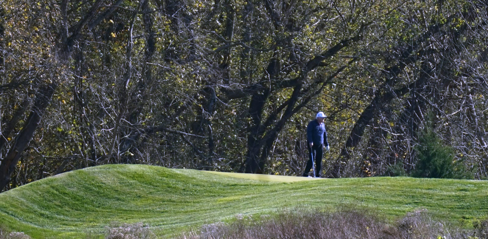 טראמפ משחק גולף בוושינגטון בזמן ההכרזה על ביידן כנשיא־מועמד. המציאות מחלחלת לאט / צילום: Associated Press, Patrick Semansky