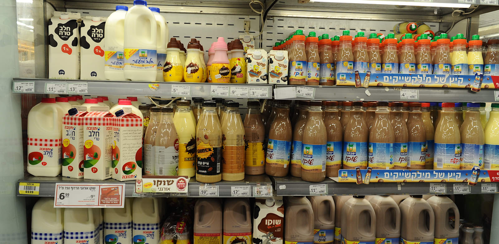 מקרר מוצרי חלב. אי פתיחת השוק לתחרות הוא עוול חברתי משווע / צילום: תמר מצפי