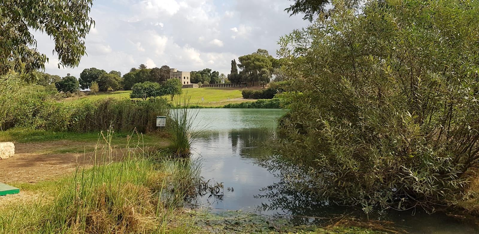 פארק הירקון. שטחי טבע, מים וצמחייה, נמפיאה בבריכה, בעלי חיים והרבה פינות נחמדות לפיקניק / צילום: אורלי גנוסר