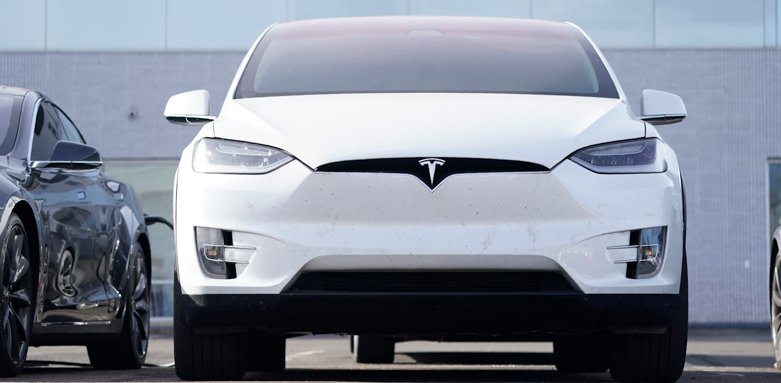 רכבי טסלה / צילום: Associated Press, David Zalubowski,