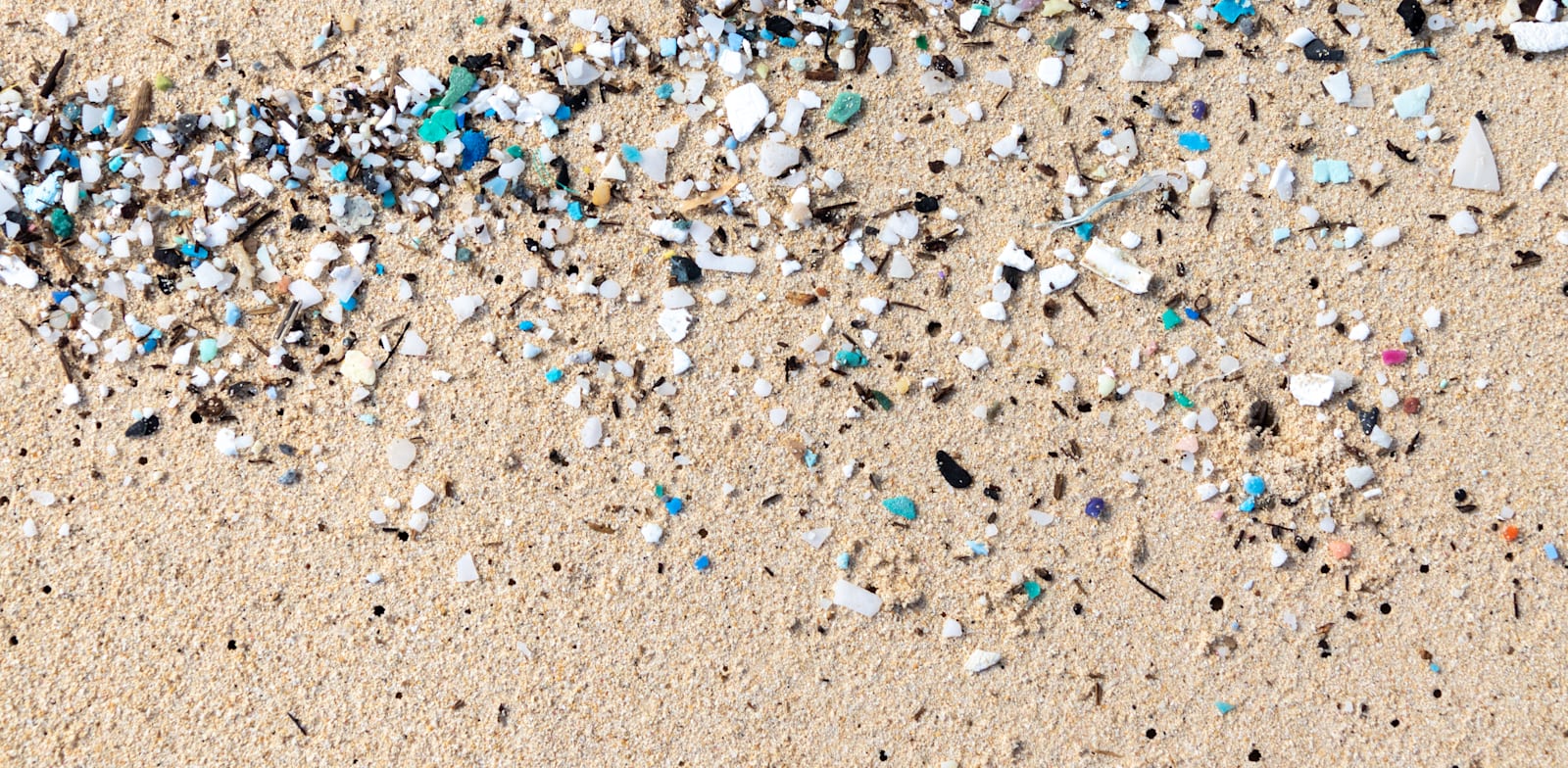 חלקיקי מיקרופלסטיק שנשטפו לחוף / צילום: Shutterstock