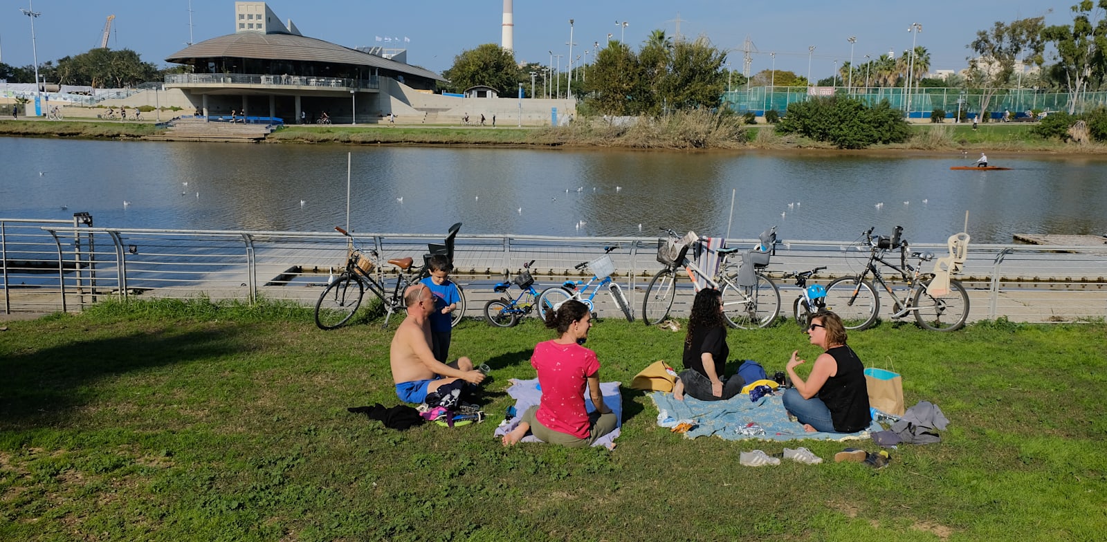 אנשים יושבים בפארק בתל אביב בתחילת ינואר / צילום: איל יצהר