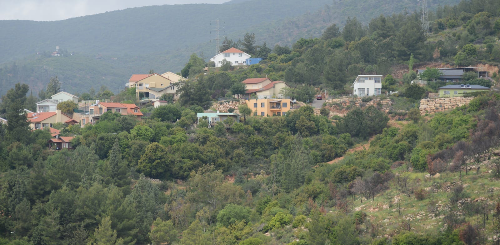 אמירים. רוב החקלאים נטשו את השדות / צילום: איל יצהר