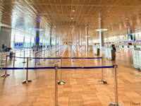 שדה תעופה נתב"ג ריק מנוסעים / צילום: יוסי פתאל