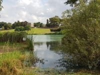 פארק הירקון. שטחי טבע, מים וצמחייה, נמפיאה בבריכה, בעלי חיים והרבה פינות נחמדות לפיקניק / צילום: אורלי גנוסר