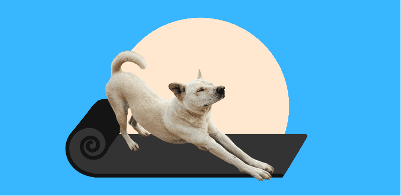 האם תוכלו להתגמש בתנאי חוסר ודאות? / צילום: Shutterstock