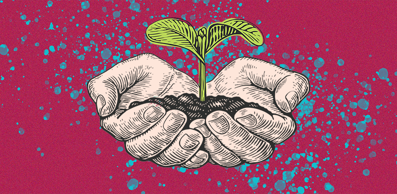 זינוק בשווי סטארט־אפים צעירים / איור: Shutterstock