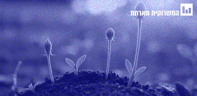 מושגים לאזרחות מיודעת.המדד לפעילות המשק / צילום: Shutterstock