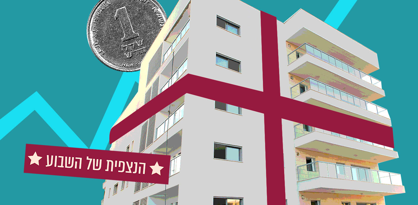 עיצוב: טלי בוגדנובסקי