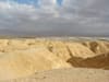 הערבה / צילום: יח''צ