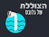 / צילום: 