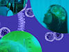 "חדשות הביומד / צילום: Shutterstock"