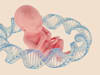 / צילום: טרציה: Shutterstock"