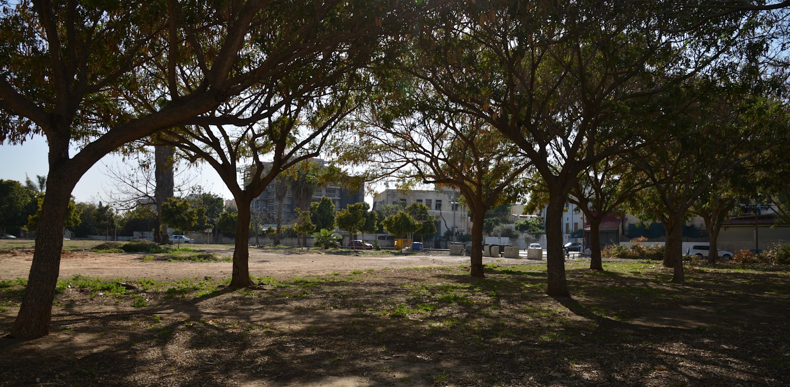 מגרש מכבי יפו לשעבר / צילום: תמר מצפי