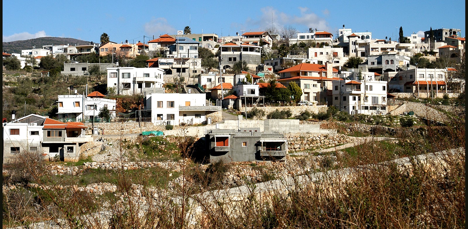 חורפיש / צילום: איל יצהר