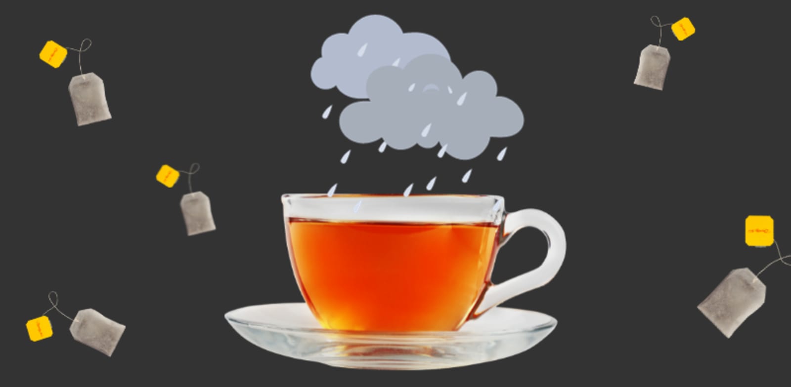 הטריוויה השבועית / צילום: Shutterstock