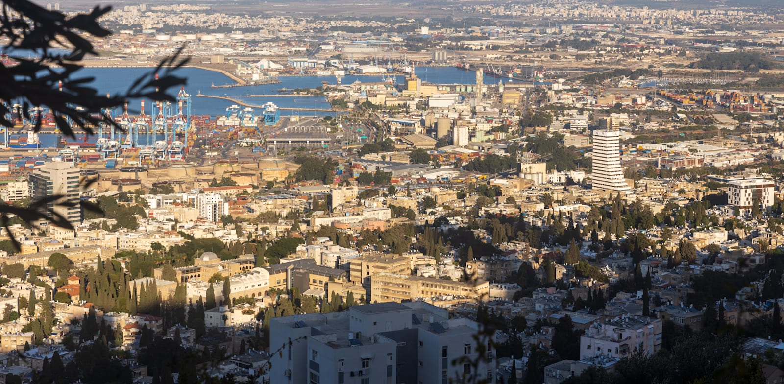 חיפה, אזור שרשם את עליית המחירים הגדולה ביותר בדירות יד שנייה / צילום: Shutterstock, Elena Rostunova