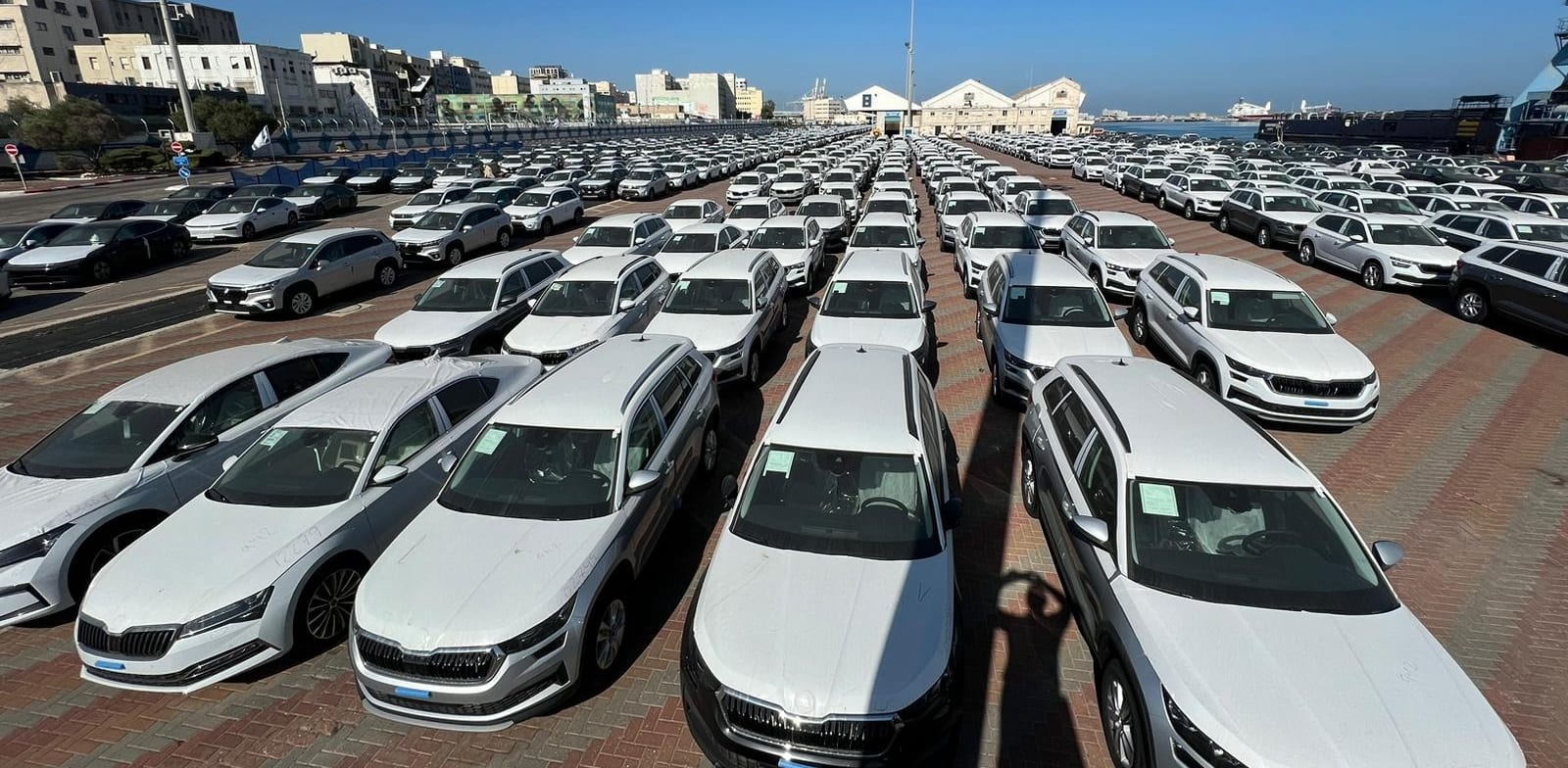 כלי רכב חדשים ממתינים בנמל חיפה / צילום: דוברות  נמל חיפה
