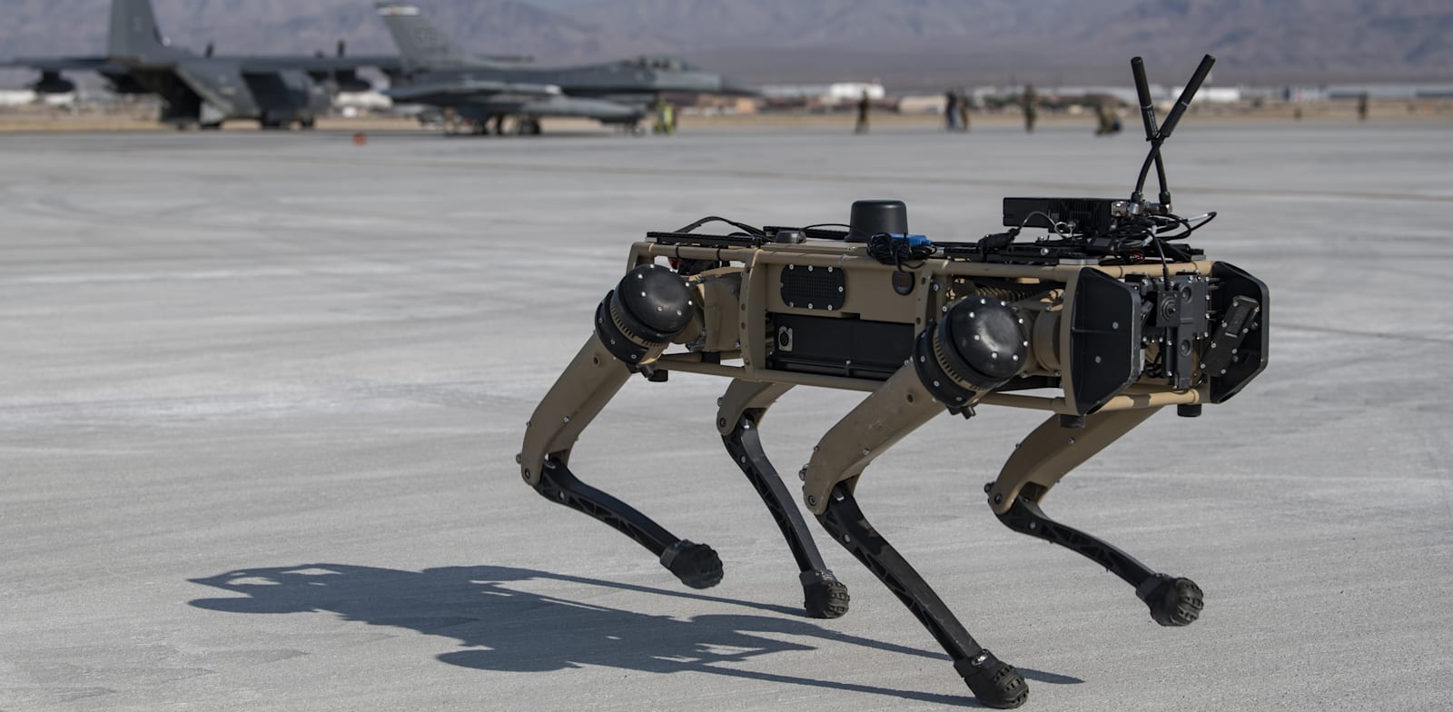 הרובו־כלב של גוסט רובוטיקס / צילום: Reuters