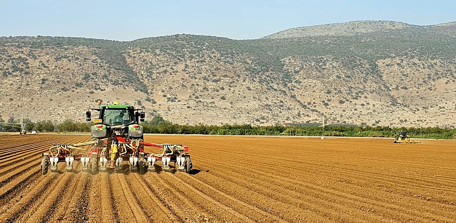 זריעת חיטה וגידולי חורף בעמק החולה / צילום: פייסל הייב, ג''ג, החברה לפיתוח הגליל