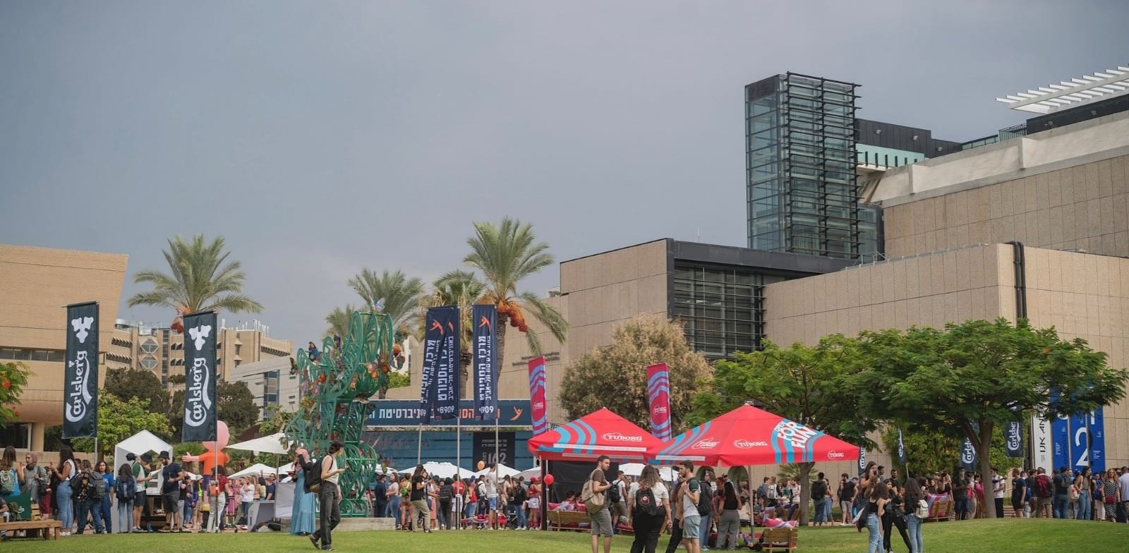 צילום: שלומי מזרחי