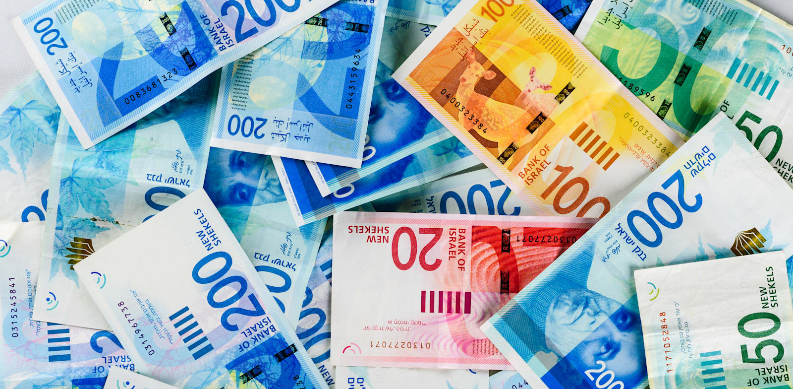 צילום: Shutterstock