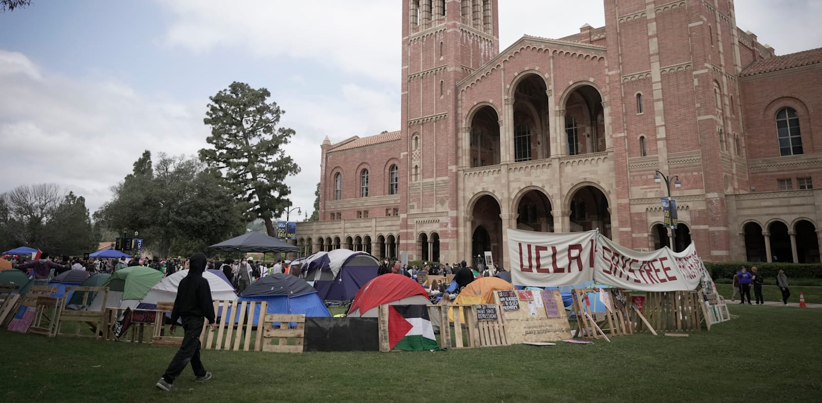 אוניברסיטת UCLA / צילום: Associated Press, Jae C. Hong