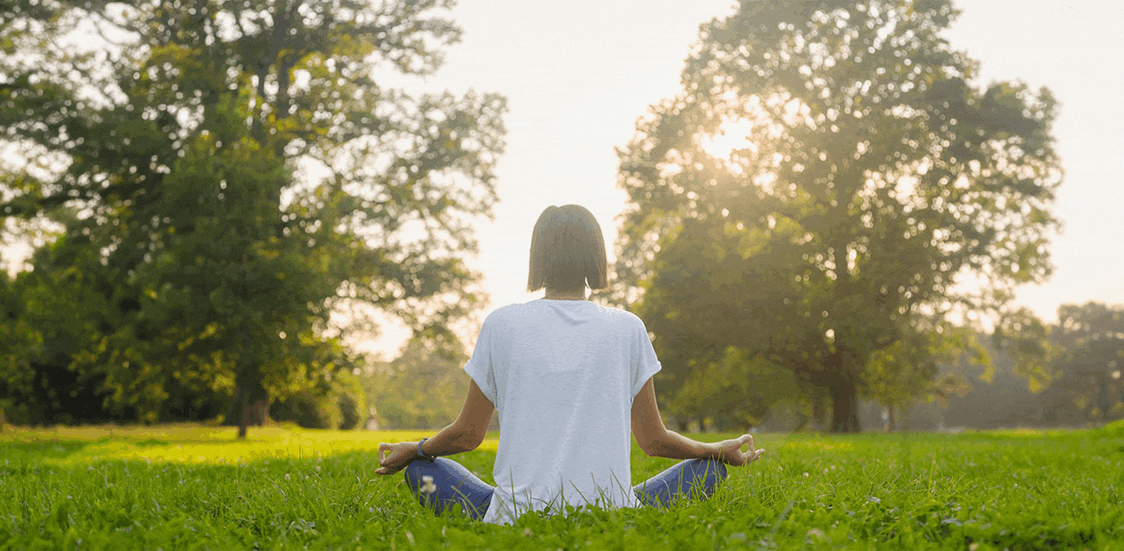 צילום: shutterstock, אנימציה: טלי בוגדנובסקי
