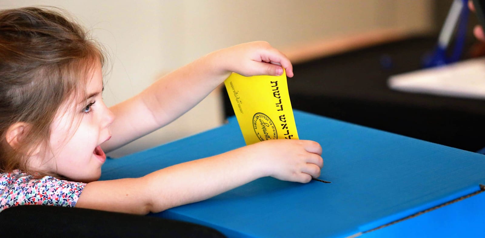 "בחירות לרשויות מקומיות / צילום: שלומי יוסף"