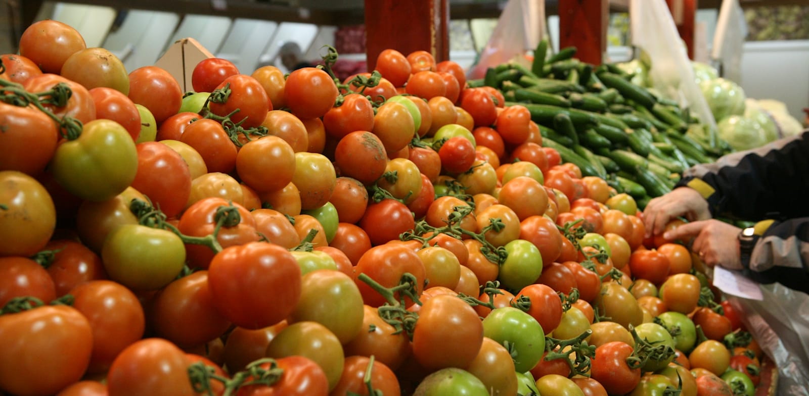 24 שקל לקילו עגבניות: מחירי הפירות והירקות מזנקים / צילום: עינת לברון