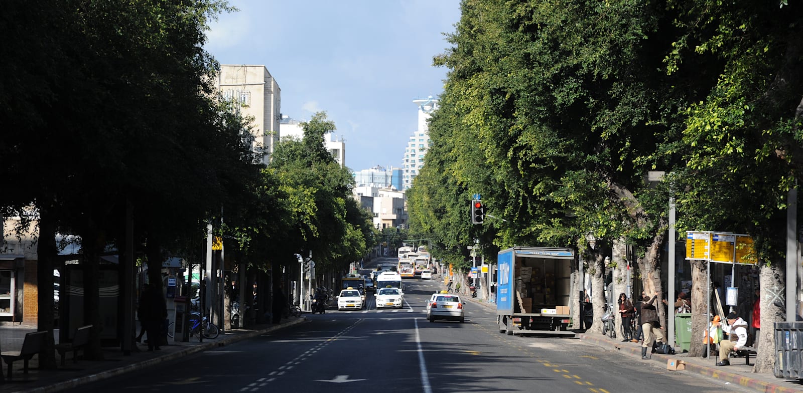 נתיב תחבורה ציבורית ברחוב אלנבי בתל אביב / צילום: איל יצהר