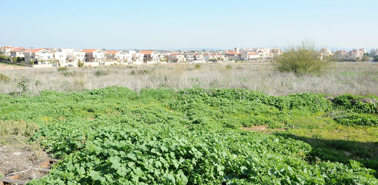 שטח חקלאי בגדרה. תוכנית המתאר מ־2019 מרחיבה את השטח הבנוי של היישוב / צילום: תמר מצפי