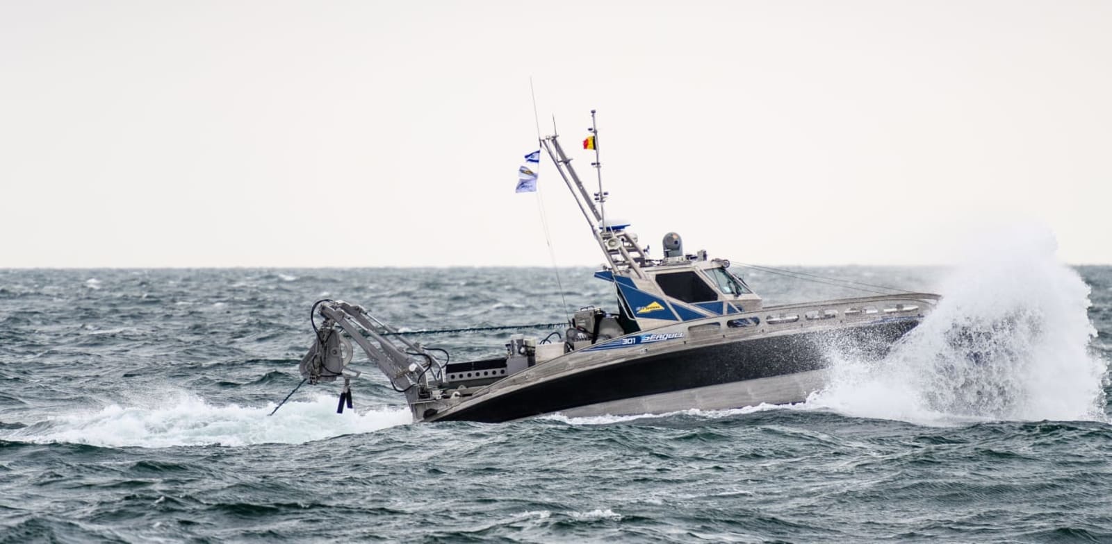 "כלי שיט בלתי מאוישים (''כשב''מ'') מסוג  Seagull™ מתוצרת אלביט מערכות / צילום: אלביט מערכות"