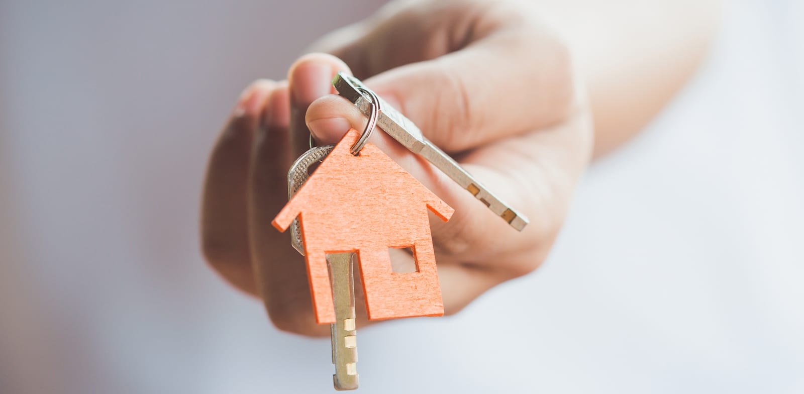 / צילום: טרציה: Shutterstock"