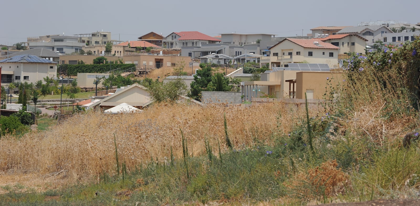 היישוב חד נס בגולן / צילום: איל יצהר