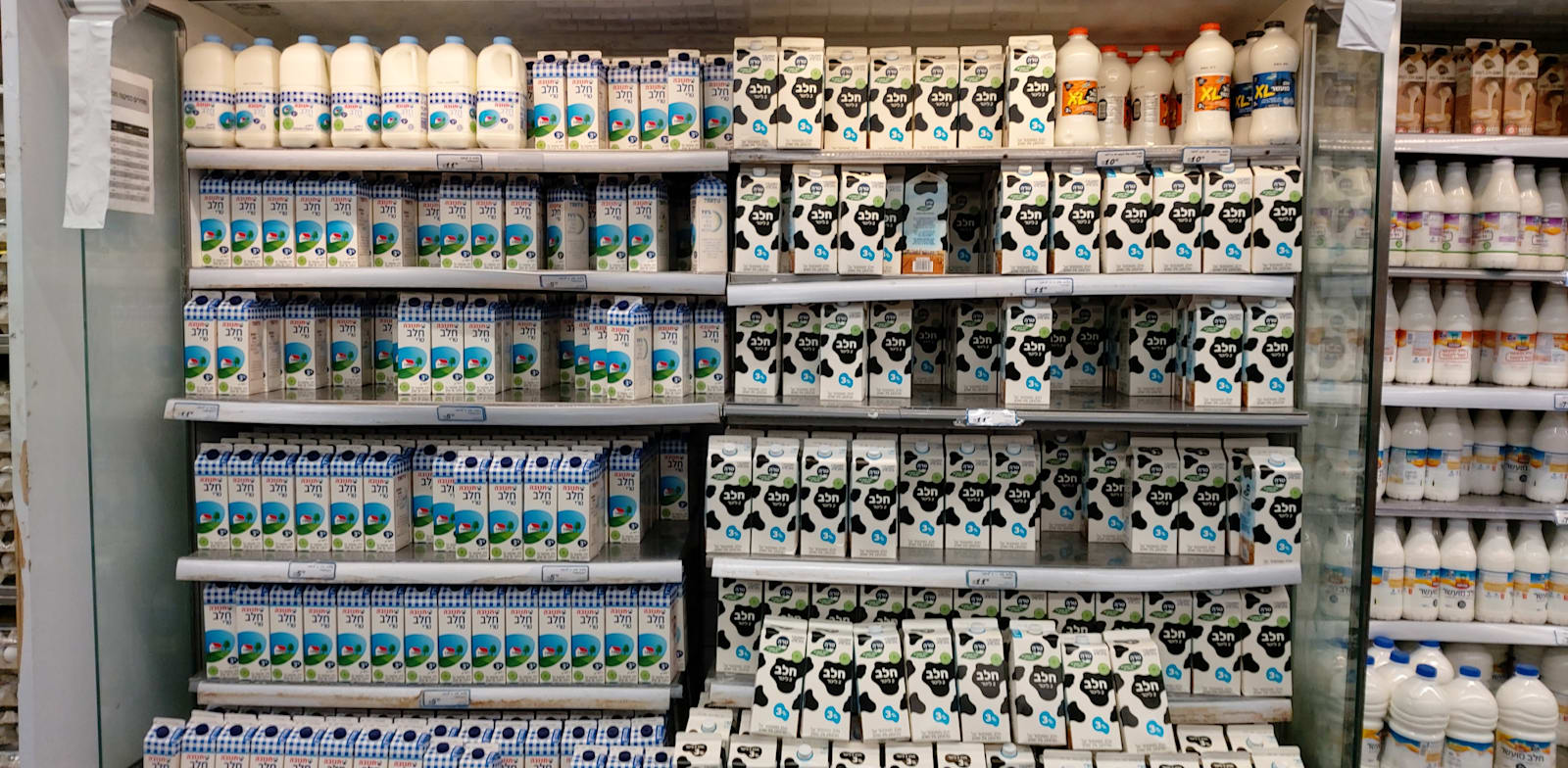 "מדפי חלב בסופרמרקט / צילום: גלובס"