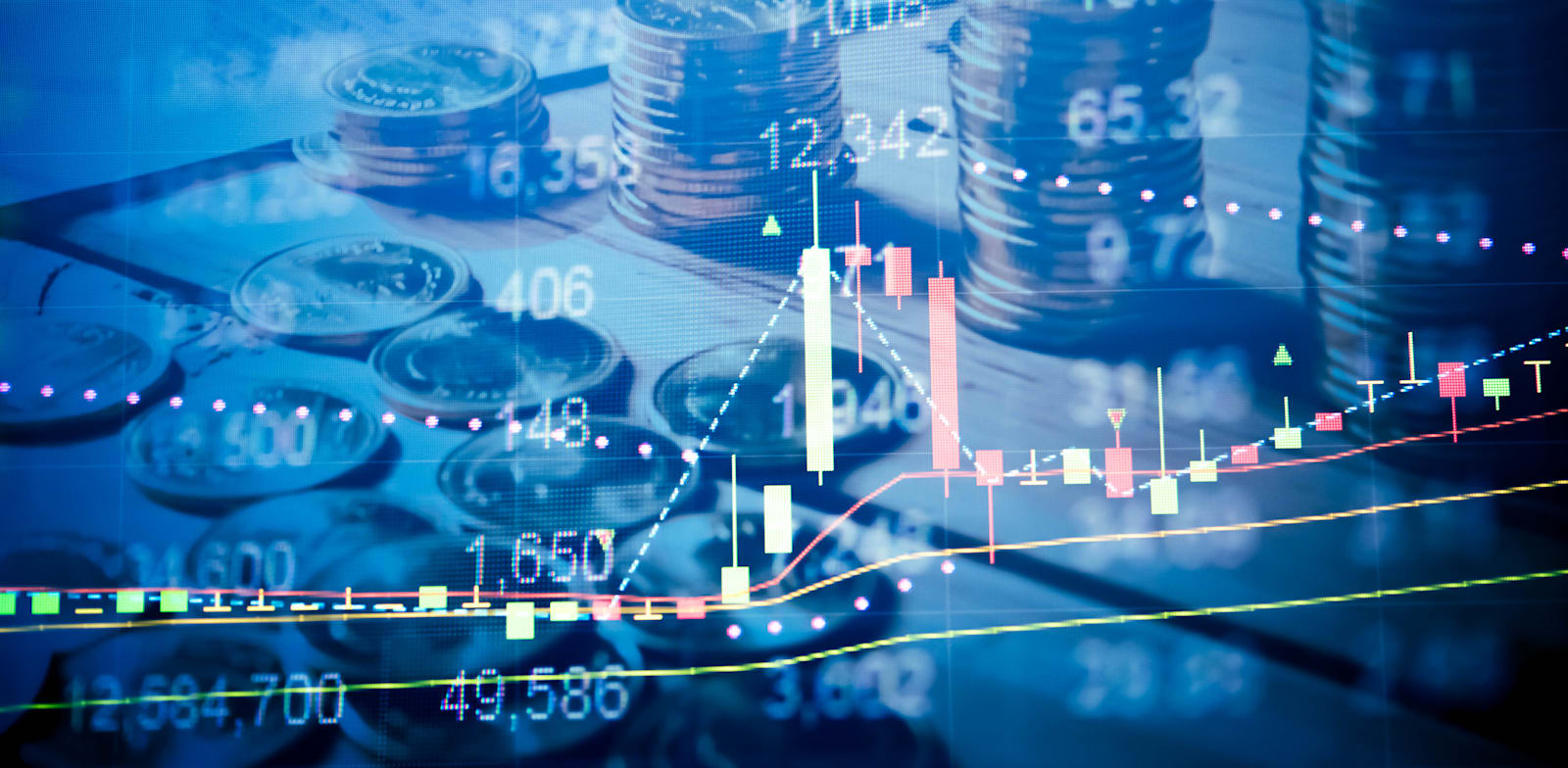 / צילום: טרציה: shutterstock"