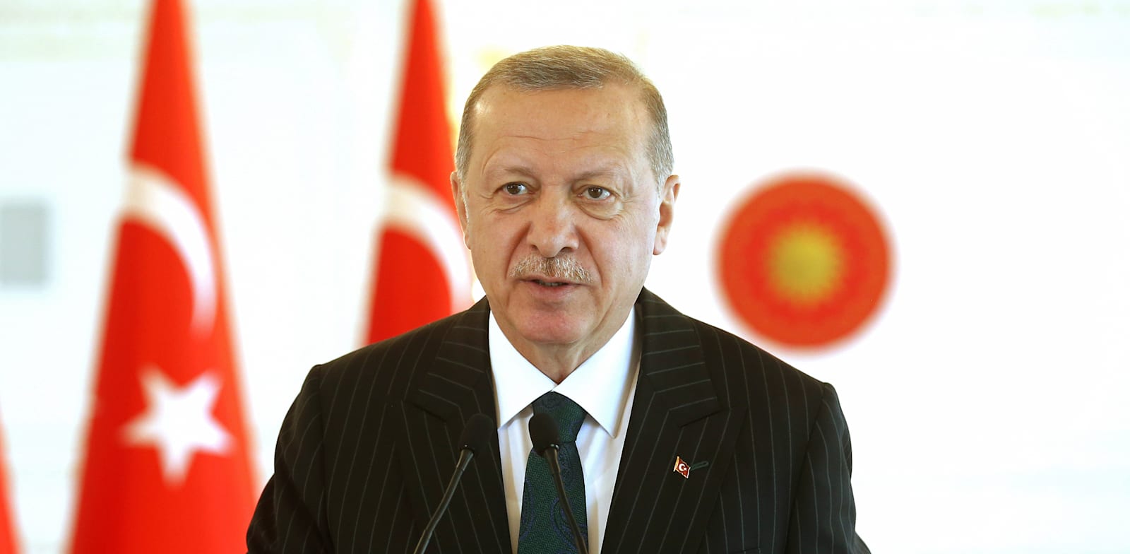 נשיא טורקיה, ארדואן / צילום: Shutterstock, Mr. Claret Red