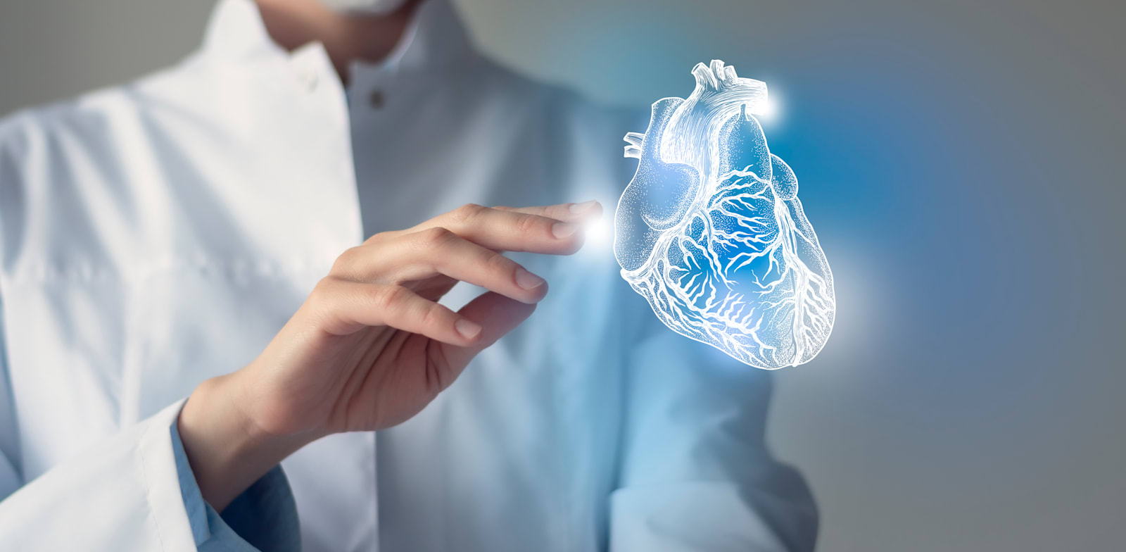 קרדיולוגיה / אילוסטרציה: Shutterstock, mi_viri