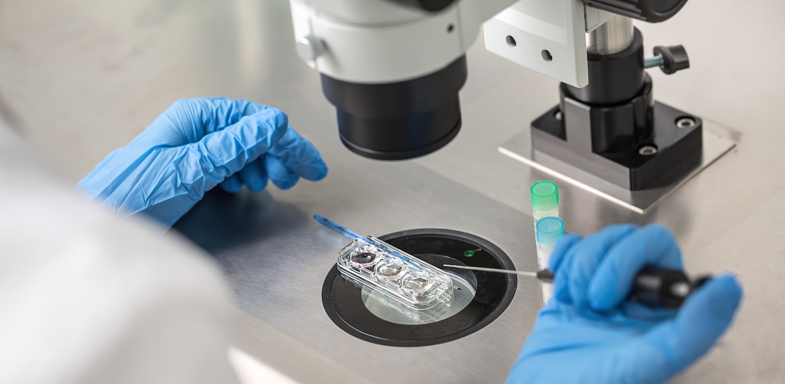 "הפריה חוץ-גופית במעבדה / צילום: Shutterstock, bezikus"